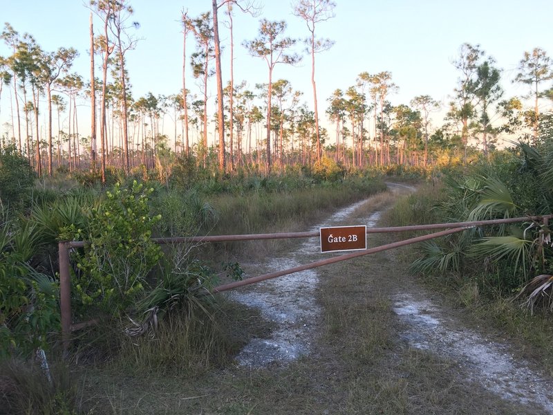 Gate on Long Pine Key Trail