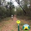 Run start for the 5K, 12K, and half-marathon trails. Seminole State Forest Run for the Woods.