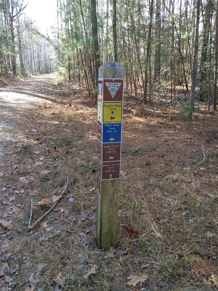 Bright Hope Trail and Otter Loop