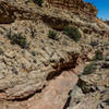 Cottonwood Wash starts out as a wide canyon, be sure to follow the path on the rim, not in the wash itself