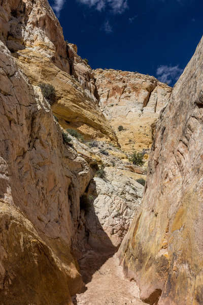 Sandstone walls in the narrows of Cottonwood Wash