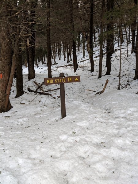 Trailhead just off 192 at the start of MST Sec 11 - Coming from the ...