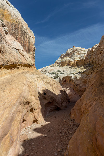 Narrows of Bell Canyon
