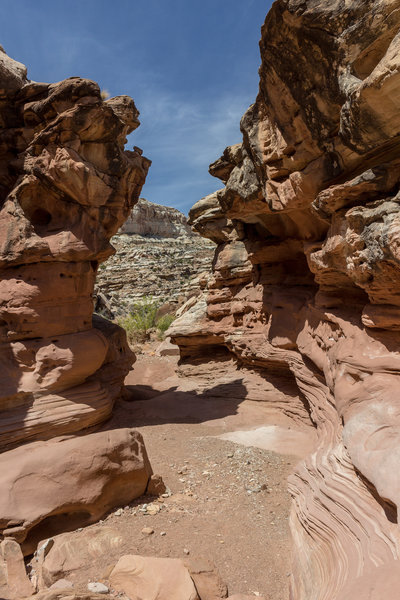 Layered sandstone in Little Wild Horse Canyon