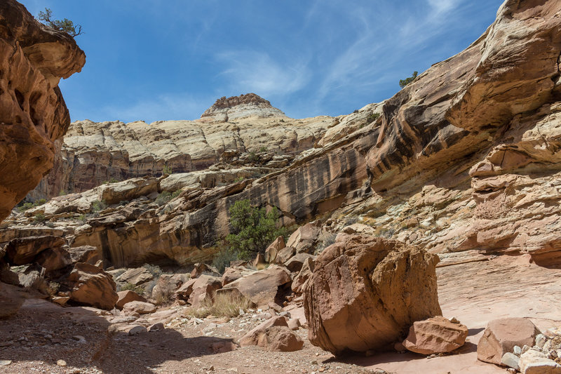 Although family friendly, some light scrambling is required in some sections of Little Wild Horse Canyon