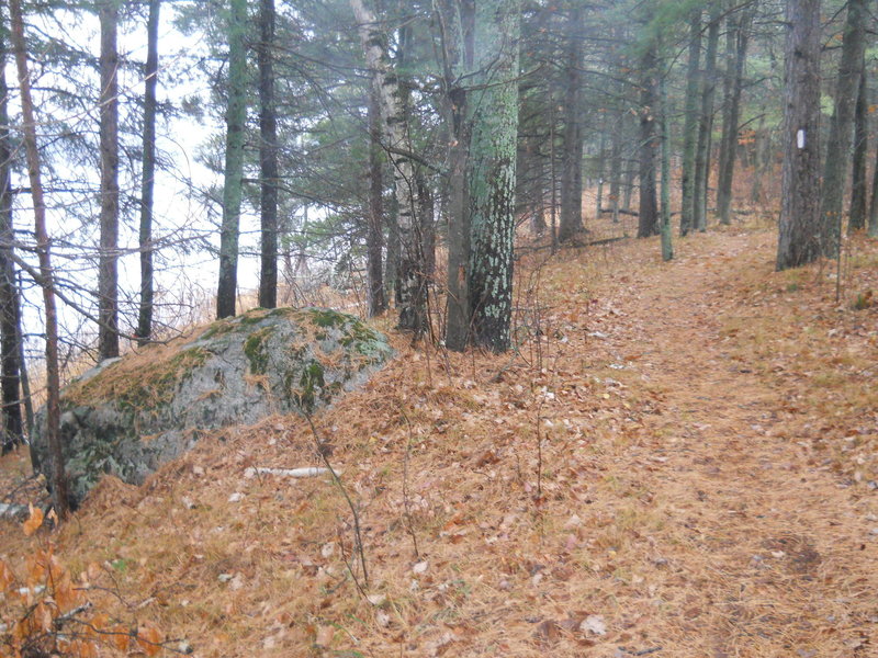 The large glacial erratic on the spur trail to the Campsite