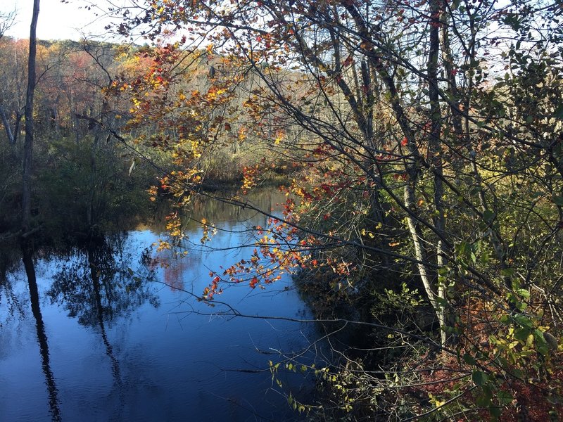 Poliack Pond Fall View