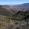 From the PCT looking into Live Oak Canyon.