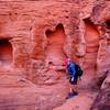 Intricate erosion-carved walls in the wash