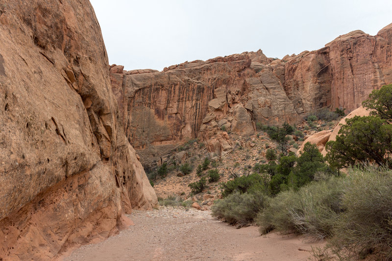 Lower Muley Twist Canyon has a very sandy wash that can make walking somewhat laborious.