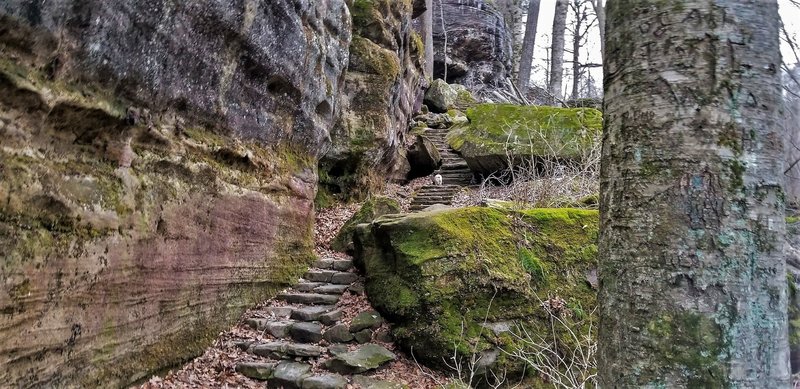 Old rock stairs just past Ox Lot.