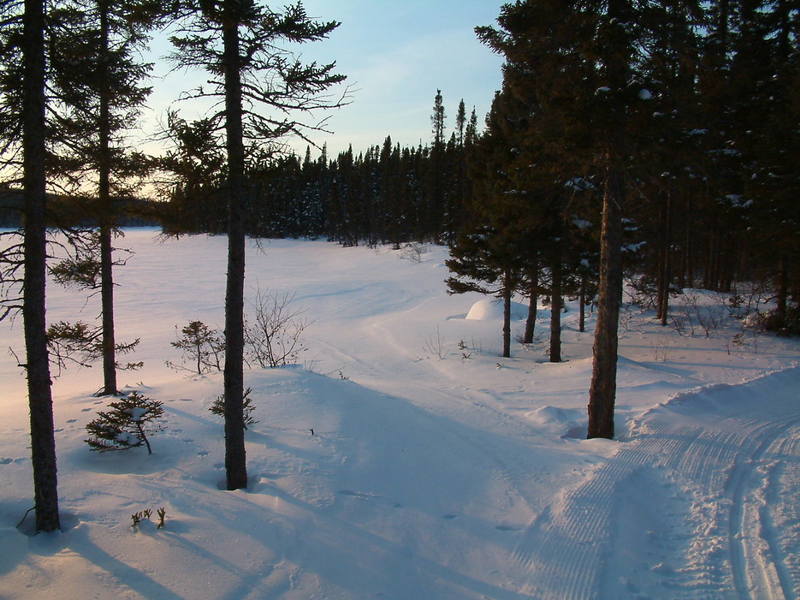 McLean Lake out in front of McLean Cabin. Try back country skiing to