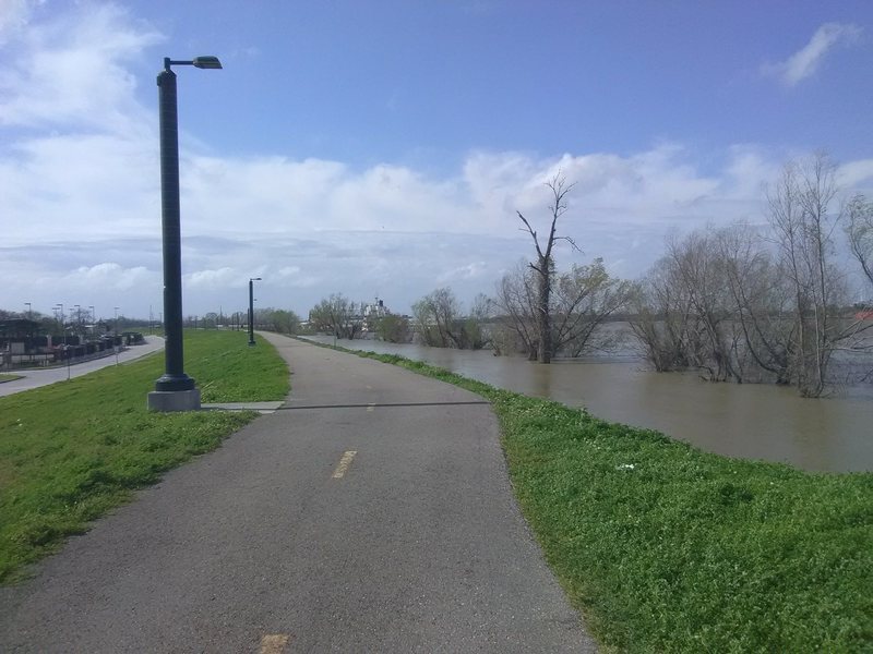 The River is high on the Levee