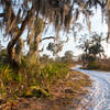 Sugar sand is thickest along the western portion of the trail.
