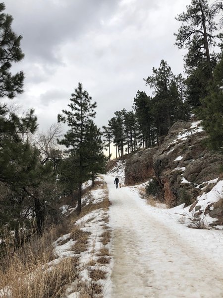 Soderberg connector trail in the winter