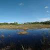 Panoramic view from the SWA Greenway Butterfly Loop trail.