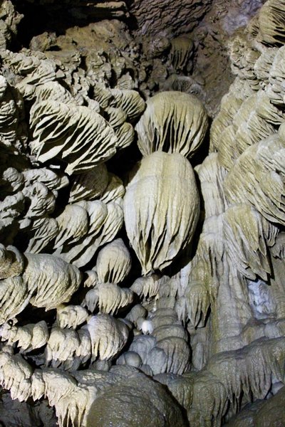 Oregon Caves' Draperys