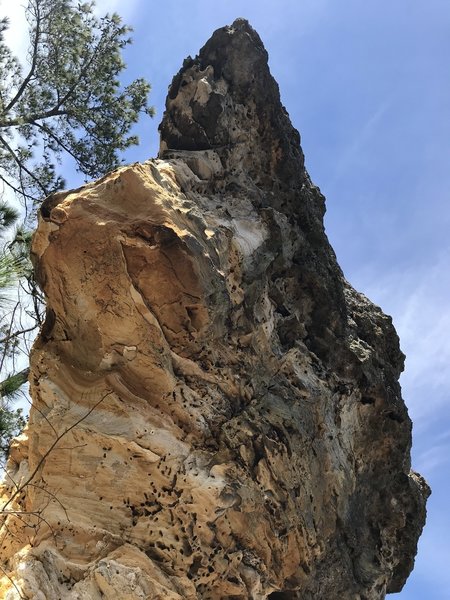 Looking up at Little Peachtree Rock
