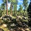 Many boulders along Trail #324
