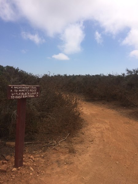 One of many signs that point to side trails