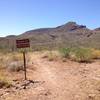 Junction of Spur Cross Trail and Dragonfly Trail and Tortuga Trail with Elephant Mountain in background. Stay straight