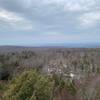View from the Dickenson fire tower