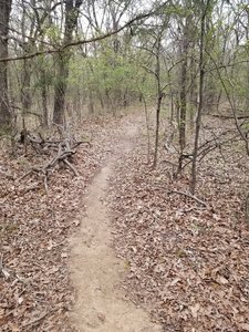 Lake Murray Hiking Trails Hiking Trails Near Lake Murray State Park