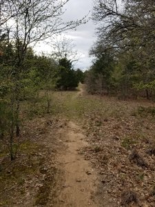 Lake Murray Hiking Trails Hiking Trails Near Lake Murray State Park