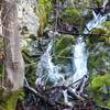 A small seasonal waterfall in Bear Gulch
