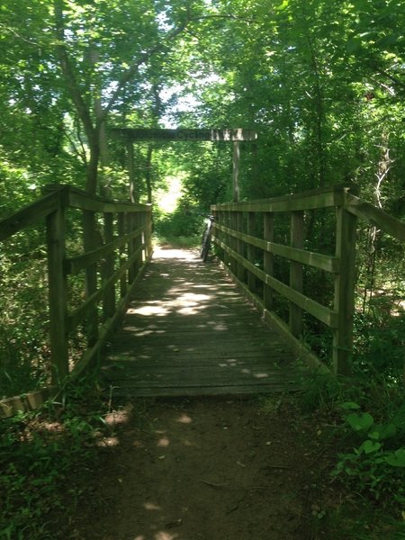 Nice bridge on the Woodland Trail.
