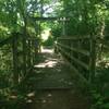 Nice bridge on the Woodland Trail.