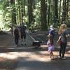 The Pipeline Trail is family and dog-friendly. It follows the San Lorenzo River, then heads uphill through a redwood grove.