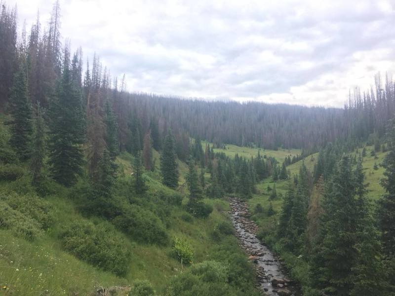 Bear Lake Trail, July 2018