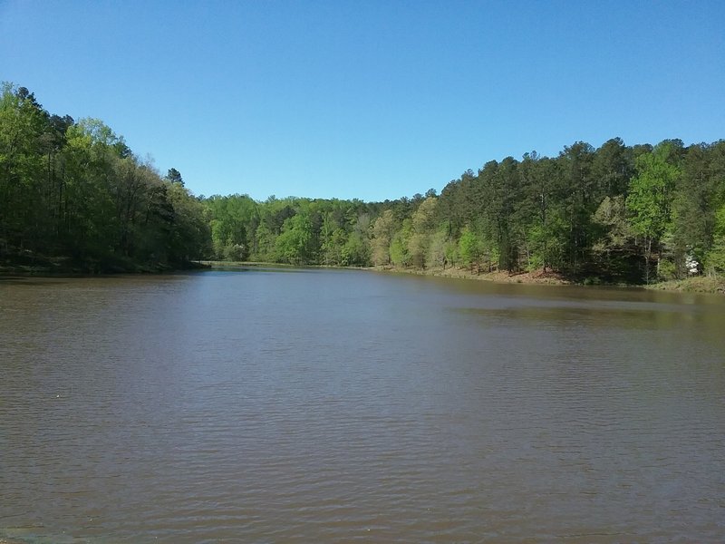 Reedy Creek Lake