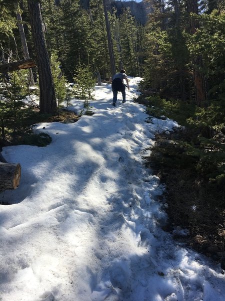 Deep snow on the trail on the northern approach to Black Elk Peak.