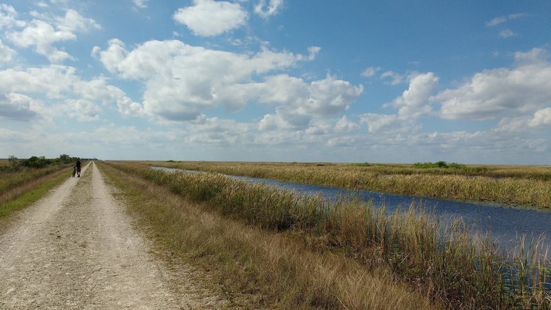 Looking west down the Everglades Conservation Levee Greenway.