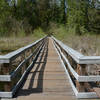 The view back towards the main trail from the end of the Cattail Marsh boardwalk