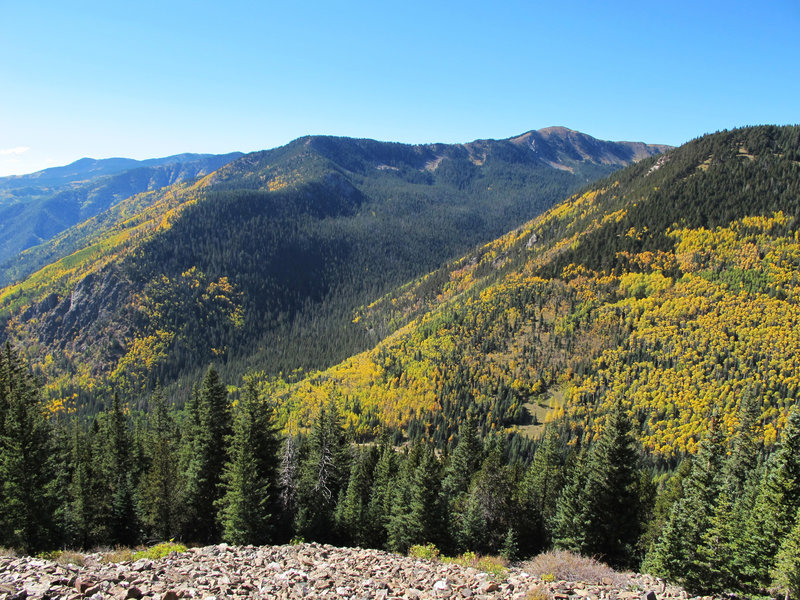 View looking up Long Canyon from the Wheeler Peak Trail/Bull of the ...