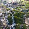 Water flowing amongst moss blanketed rocks