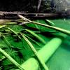 green lake - exquisitely transparent