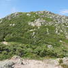 Looking up at Mt. Eisenhower from Edmands Path. A short but steep climb up Eisenhower loop to the top.
