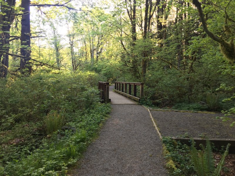 A small bridge on the very smooth Bus Trail