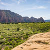 Brins Mesa