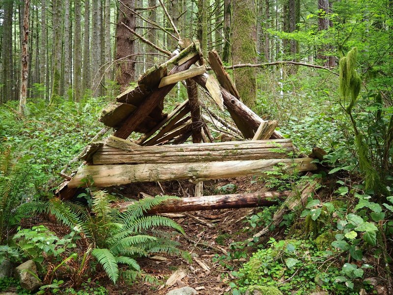 The Native American shelter ("hitsi") along the trail.