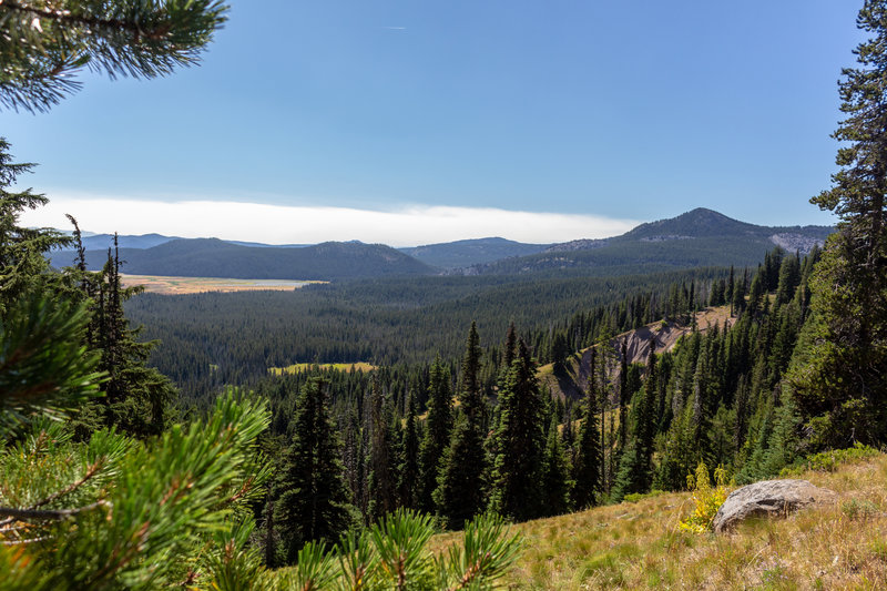 Deschutes National Forest from Soda Creek Trail.