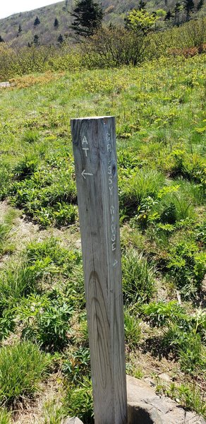 The Spur post to Grassy Ridge Bald.