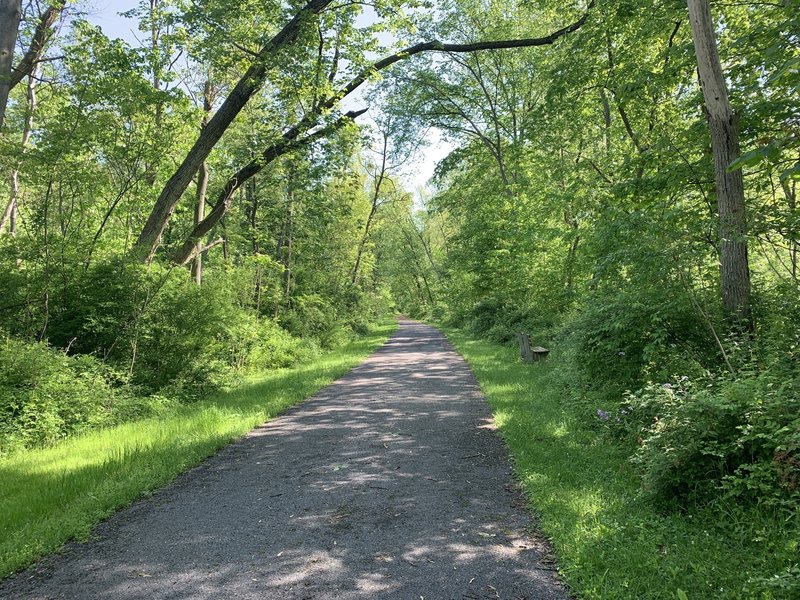 The Mid State Trail while following the Lower Trail