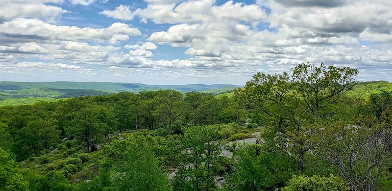 Spring time in Harriman State Park