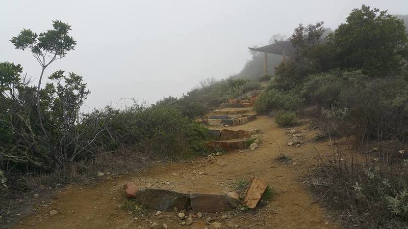 Top end of the Hermit Gulch Trail, looking west (and up!) to the gazebo/lookout on Divide Road, on a rainy January morning. This trail is steep!