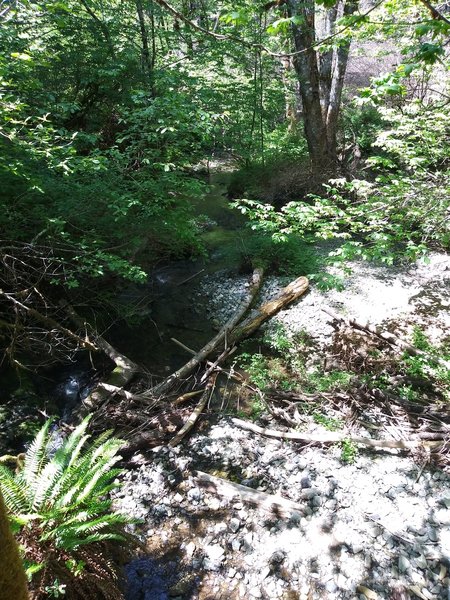 The creek is great with lots of access and places to get near it.